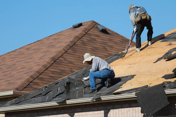 Best Asphalt Shingles Roofing  in Decatur, IL